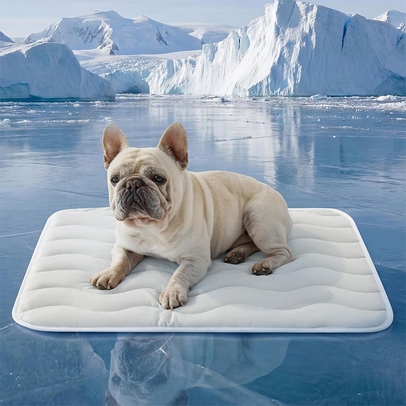 🐾❄️ Atmungsaktive Kühlmatte für Haustiere – Maschinenwaschbar, Gelenkschonend & Ideal für Heiße Sommertage | Für Zuhause, Auto & Transportbox!