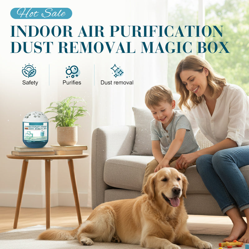 ⌛ Nur noch 3 Tage – 50 % auf alles! ⏰Indoor Luftreinigung Staub Entfernung Magic Box