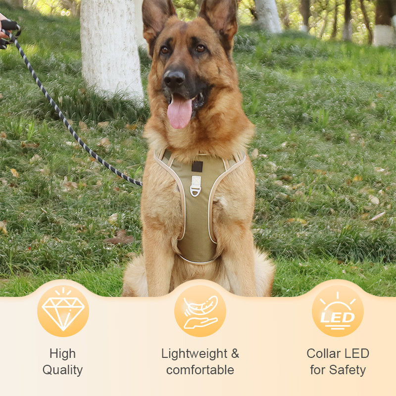 💥 LIMITIERT: -50% 🐾 Anti-Zug Hundegeschirr mit Front-D-Ring 🦮 inkl. Leine & LED-Halsband 🔥 sicher & komfortabel