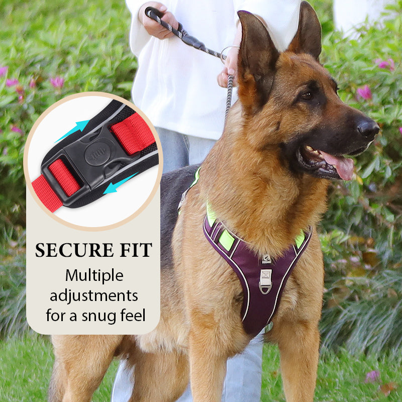 💥 LIMITIERT: -50% 🐾 Anti-Zug Hundegeschirr mit Front-D-Ring 🦮 inkl. Leine & LED-Halsband 🔥 sicher & komfortabel
