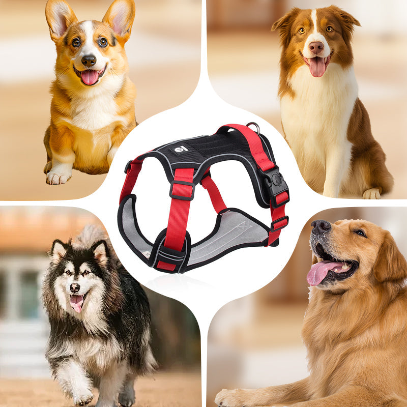 💥 LIMITIERT: -50% 🐾 Anti-Zug Hundegeschirr mit Front-D-Ring 🦮 inkl. Leine & LED-Halsband 🔥 sicher & komfortabel