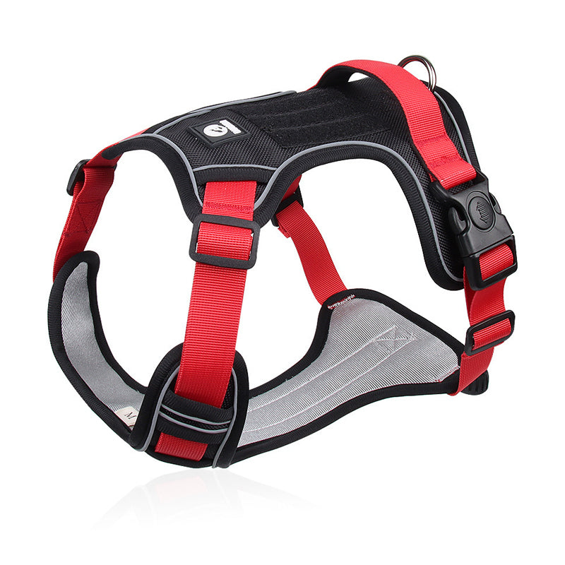 💥 LIMITIERT: -50% 🐾 Anti-Zug Hundegeschirr mit Front-D-Ring 🦮 inkl. Leine & LED-Halsband 🔥 sicher & komfortabel