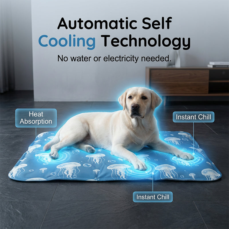 📢📢50 % RABATT !! ⏰ Mit Wasser gefülltes Sommer-Haustierbett – Kühlt natürlich & ohne Strom – Perfekt für heiße Tage, waschbar & rutschfest – Entspannung für Hund & Katze 🌊🐶✨