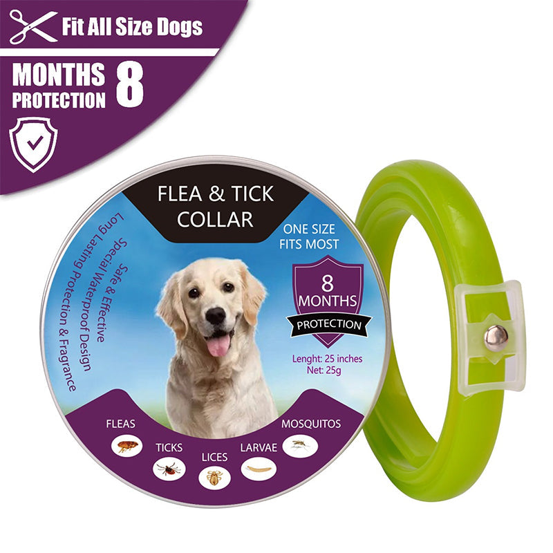 🐾🛡️ 50% RABATT! Floh- & Zeckenhalsband für Hunde & Katzen – Wasserdicht, verstellbar & langanhaltender Schutz im Freien ✨